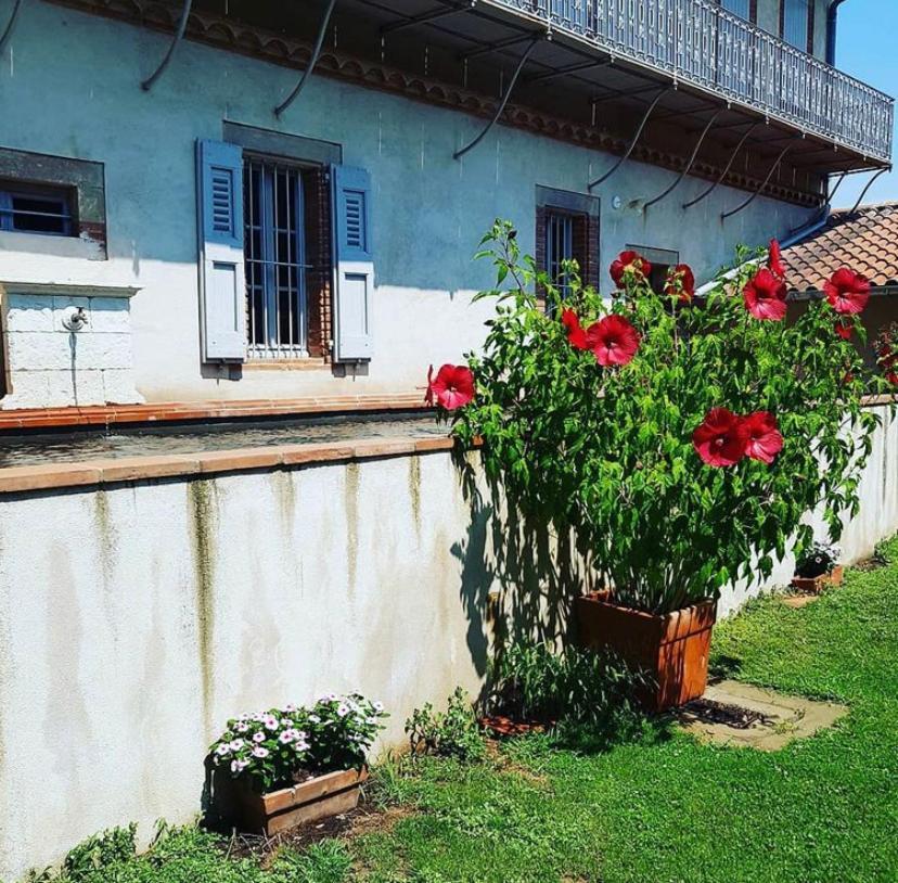 Chez Louise Bed & Breakfast Алби Екстериор снимка